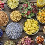 Nature’s Potency Unveiled: The Power of Ayurvedic Herbs in AyurMantra’s Products
