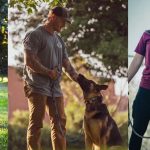 Elevate Your Dog’s Training Experience with Top-Rated Tampa Dog Trainers